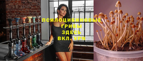 ГАЛЛЮЦИНОГЕННЫЕ ГРИБЫ Баксан