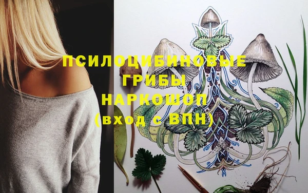 a pvp Арсеньев